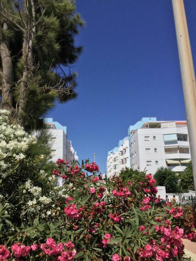 דירות רוקאוטס דה מר La Perla Azul Playa - Terraza Al Sol מראה חיצוני תמונה